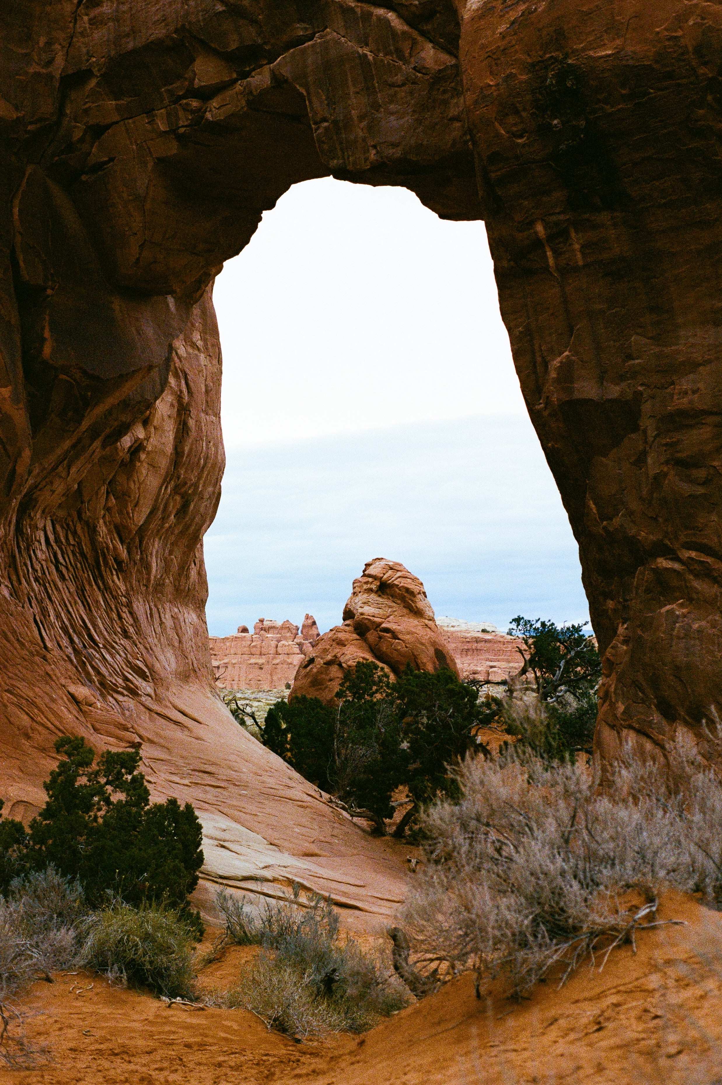 Red Rock Club